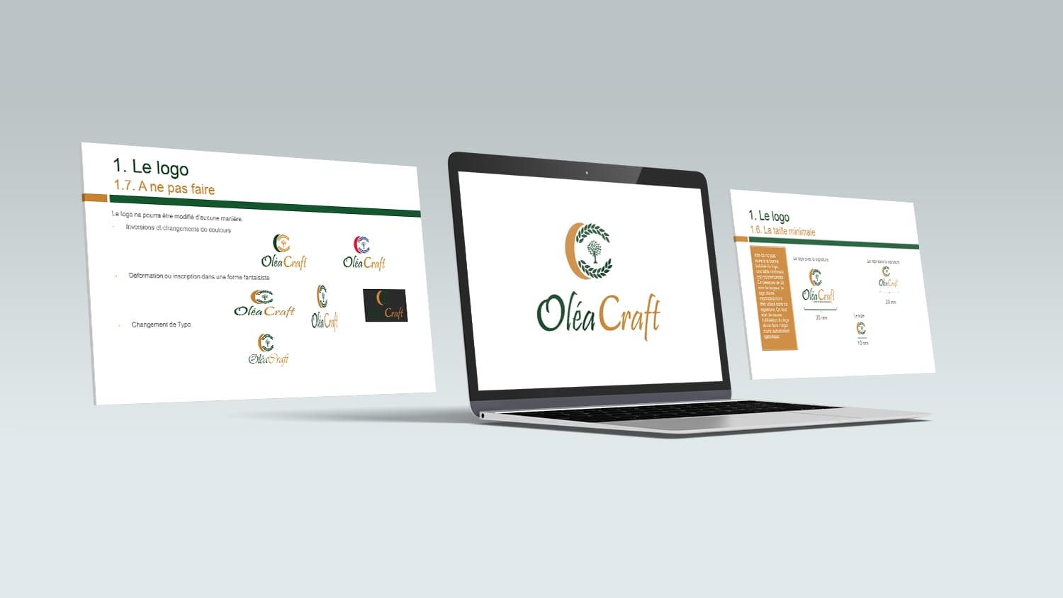 creation de logo au meilleur prix en tunisie